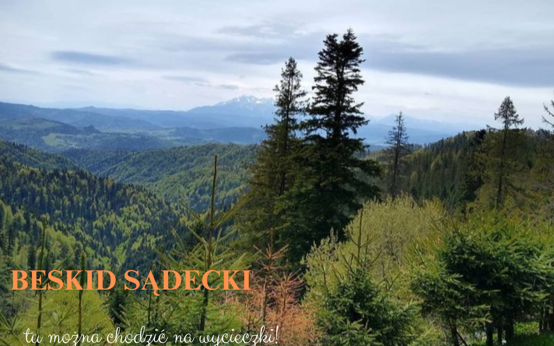 Wyprawy górskie małe i duże – Beskid Sądecki – trzy schroniska i wieża widokowa