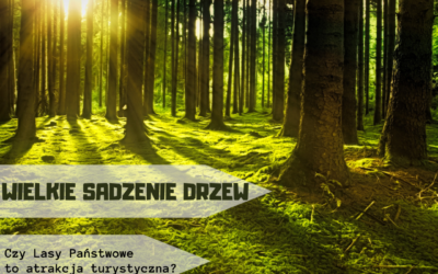 Wielka akcja #sadziMy Lasów Państwowych.